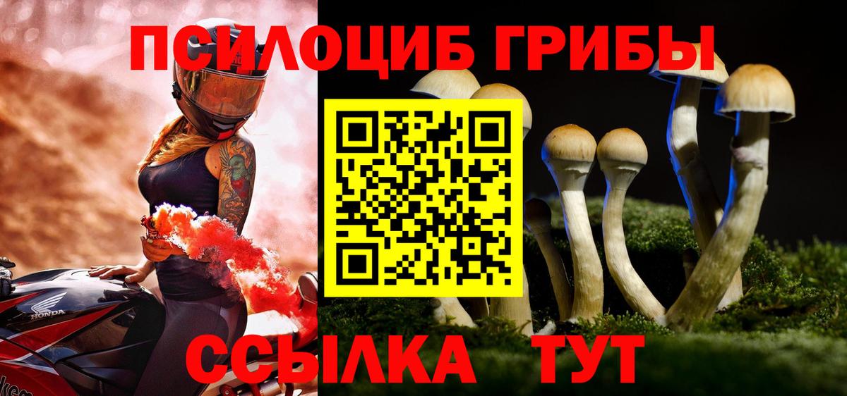 Бердск  Псилоцибиновые грибы ЛСД  цены наркотик  Вход с VPN 